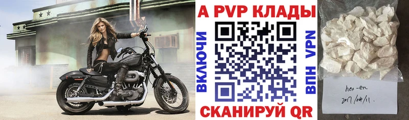 shop как зайти  Дно  А ПВП крисы CK  kraken tor 