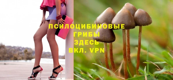 МДПВ Гусев