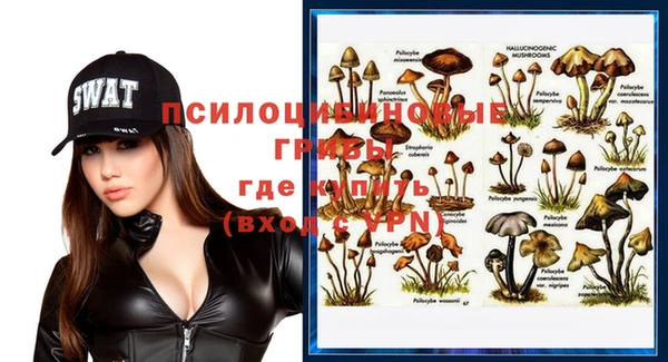 MDMA Premium VHQ Вяземский