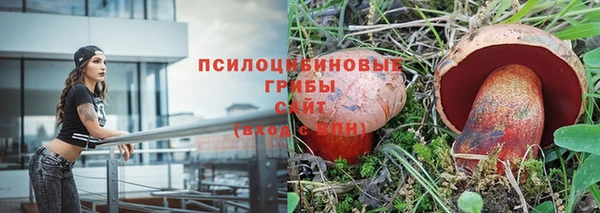 крисы Вязники