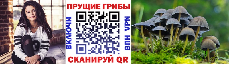 где найти наркотики  Дно  Галлюциногенные грибы мухоморы 